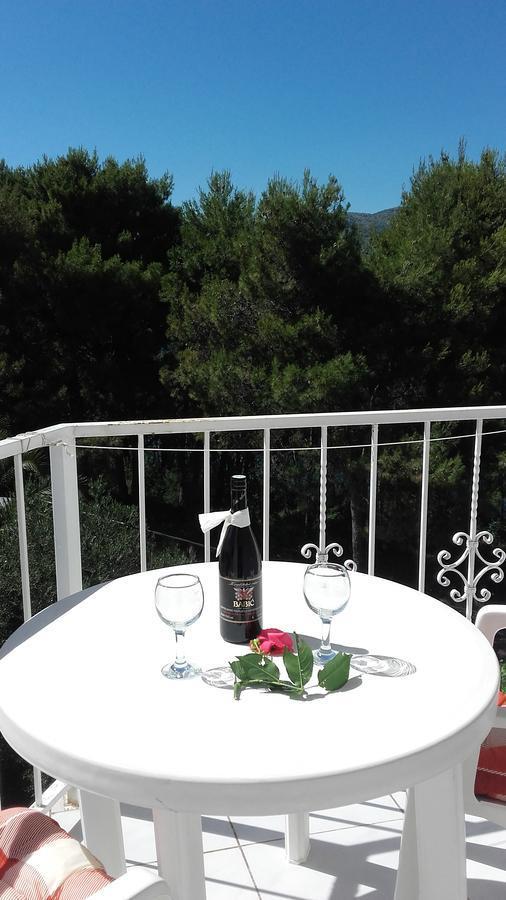Villa Mateja Donji Okrug  Exteriér fotografie