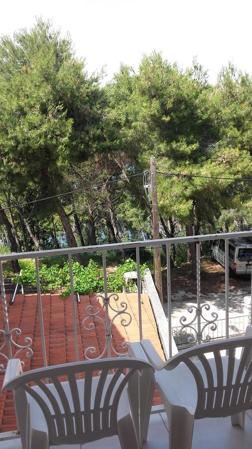 Villa Mateja Donji Okrug  Exteriér fotografie