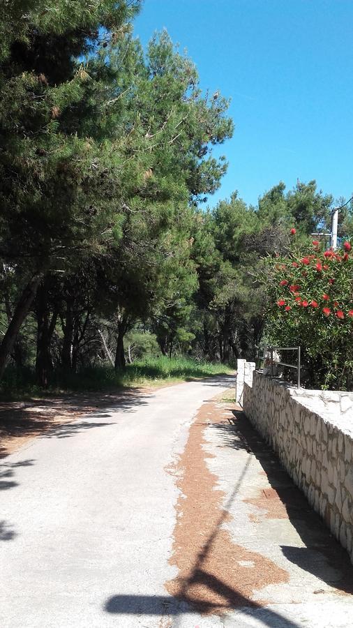 Villa Mateja Donji Okrug  Exteriér fotografie