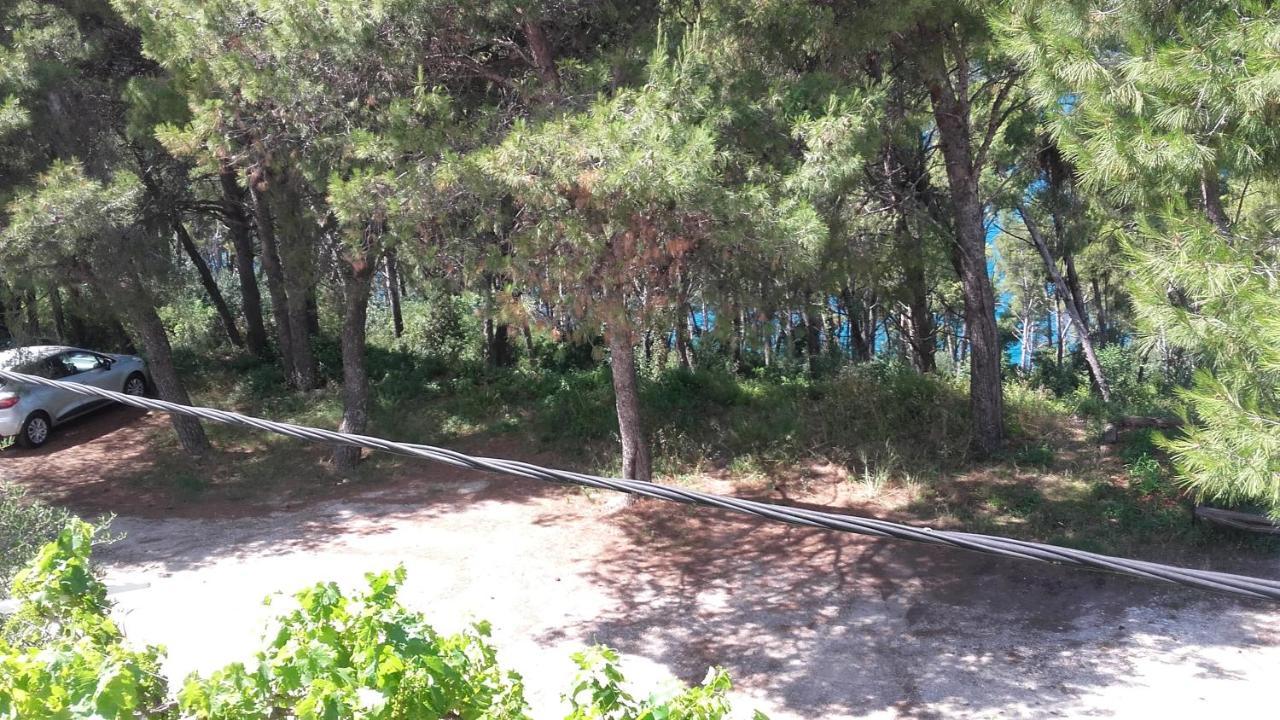 Villa Mateja Donji Okrug  Exteriér fotografie