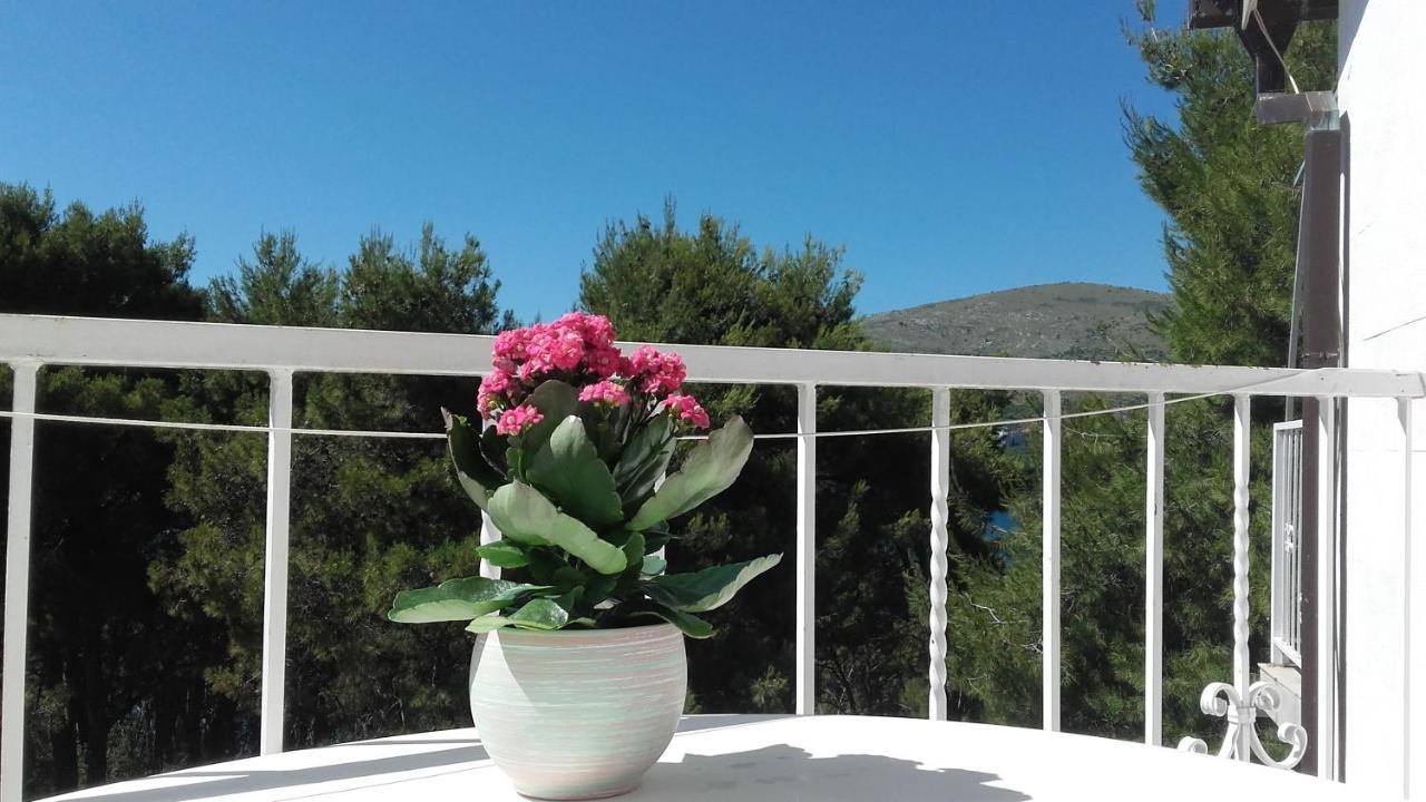 Villa Mateja Donji Okrug  Exteriér fotografie