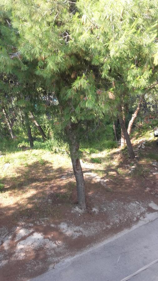 Villa Mateja Donji Okrug  Exteriér fotografie