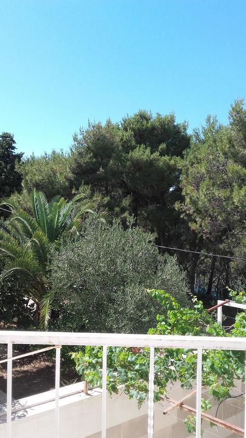 Villa Mateja Donji Okrug  Exteriér fotografie